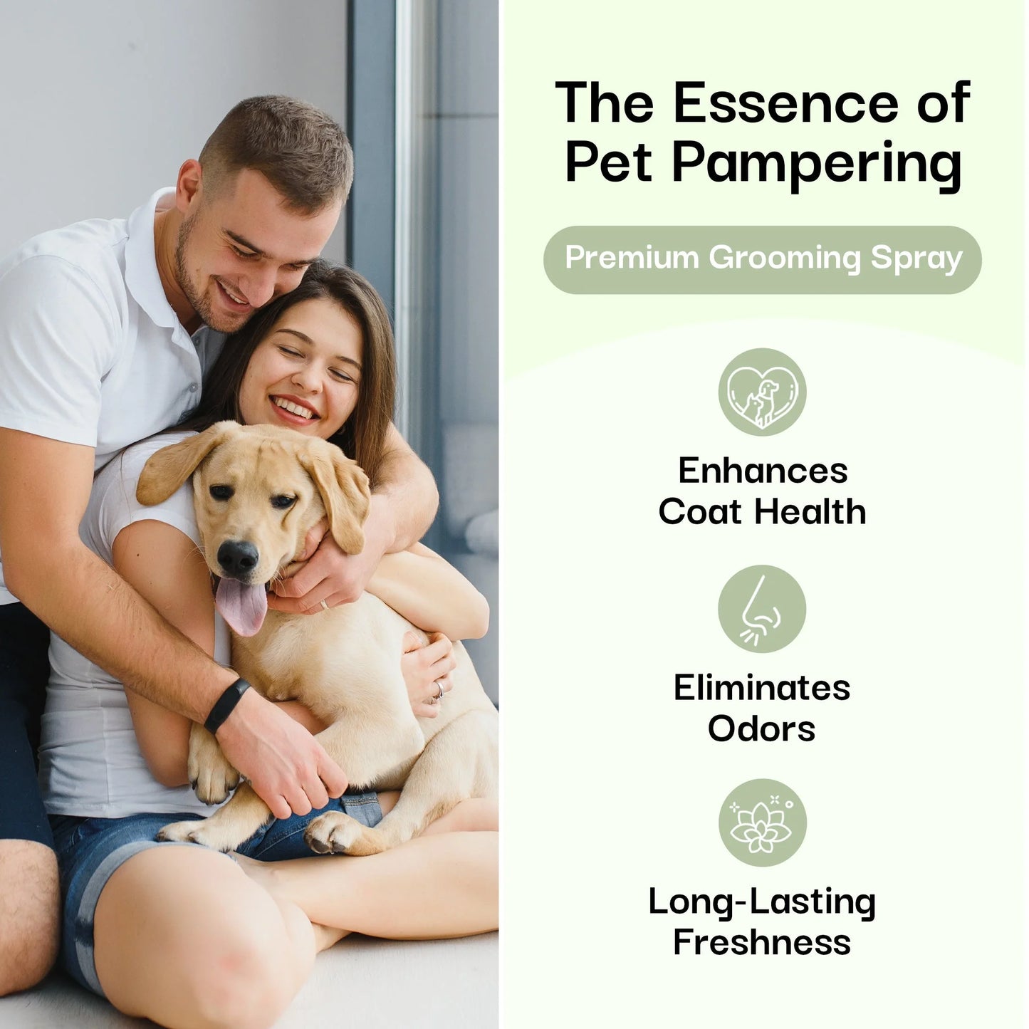 Long-Lasting Lavender Dog Cologne – Natural Odor Eliminator & Grooming Spray with Essential Oils